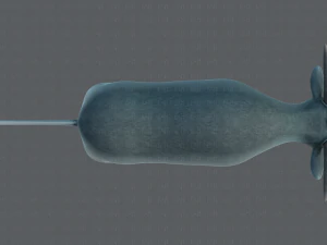 bull v01 3D Model