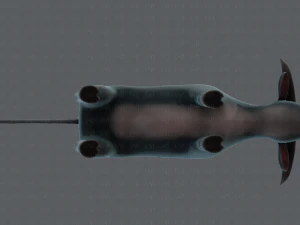 bull v01 3D Model