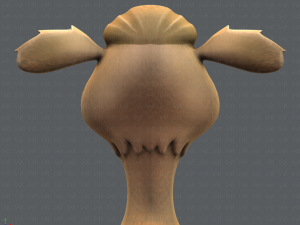 alpaca v01 3D Модель