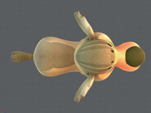 alpaca v01 3D Model