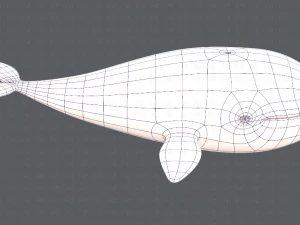 whale v01 3D Model