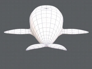 whale v01 3D Model