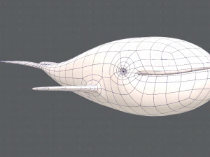 whale v01 3D Model