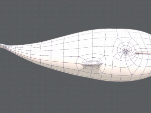 whale v01 3D Model