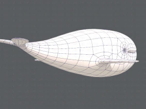 whale v01 3D Model