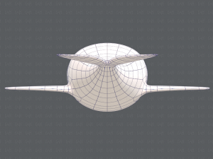 whale v01 3D Model