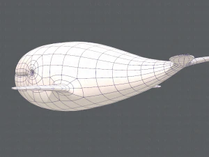 whale v01 3D Model