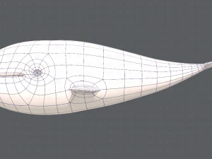 whale v01 3D Model