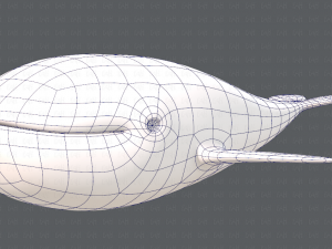 whale v01 3D Model