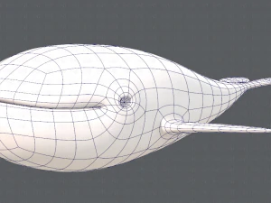 whale v01 3D Model