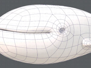 whale v01 3D Model