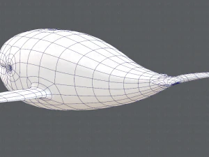 whale v01 3D Model