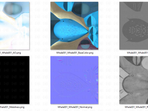 whale v01 3D Model