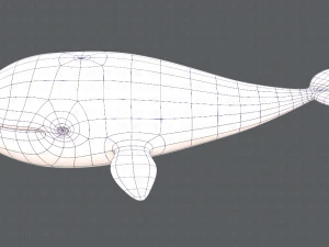 whale v01 3D Model