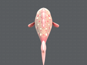 fish v01 3D Model