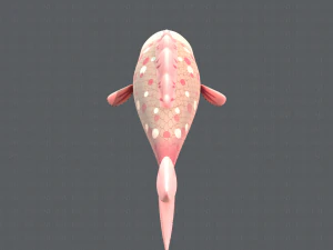 fish v01 3D Model