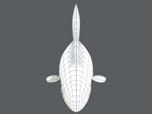 fish v01 3D Model