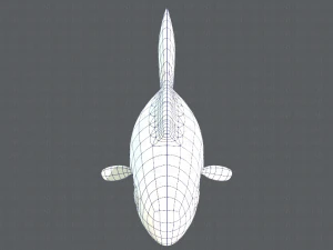 fish v01 3D Model