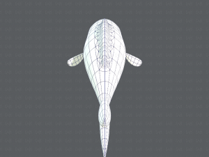fish v01 3D Model