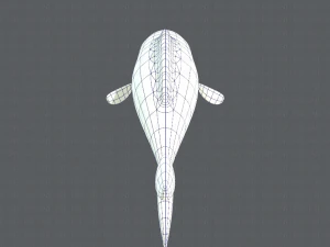 fish v01 3D Model