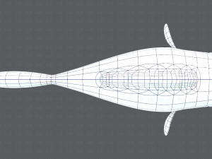 fish v01 3D Model