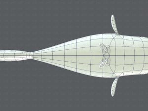 fish v01 3D Model