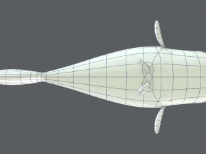 fish v01 3D Model