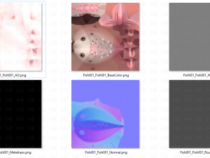 fish v01 3D Model