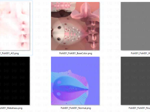 fish v01 3D Model