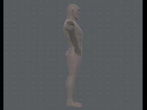 base mesh man character v12 Modèle 3D