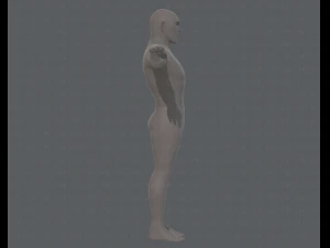 base mesh man character v12 3D Model