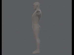 base mesh man character v12 3D Model