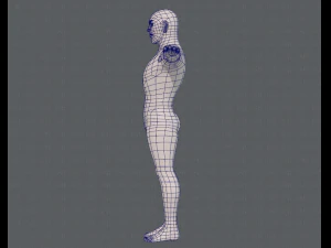 base mesh man character v12 3D Model