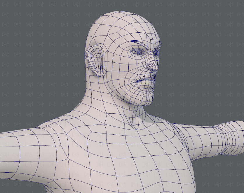 Base Mesh men.
