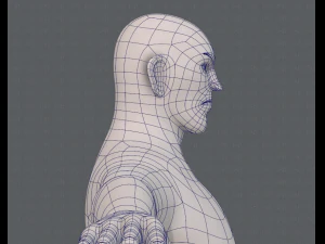 base mesh man character v12 3D Model