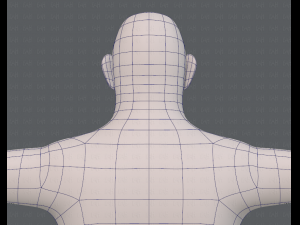 base mesh man character v12 Modèle 3D