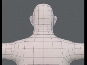 base mesh man character v12 3D Model