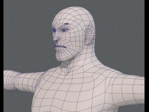 base mesh man character v12 3D Model