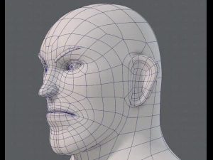 base mesh man character v12 3D Model