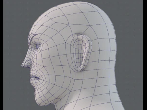 base mesh man character v12 3D Model
