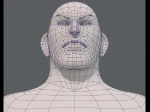 base mesh man character v12 3D Model