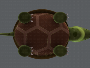 turtle v01 Model 3D
