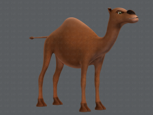 camel v01 Modelo 3D