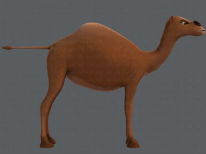 camel v01 3D Model
