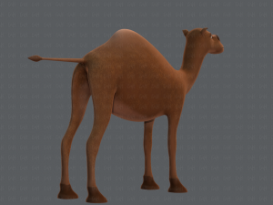 camel v01 Modelo 3D