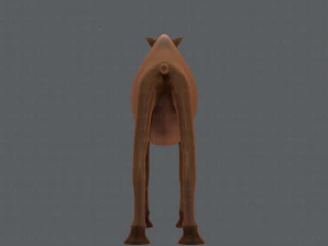 camel v01 3D Model