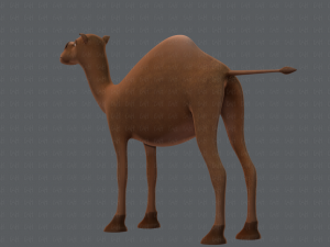 camel v01 Modelo 3D