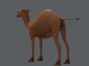 camel v01 3D Model
