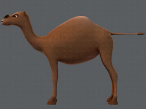 camel v01 3D Model