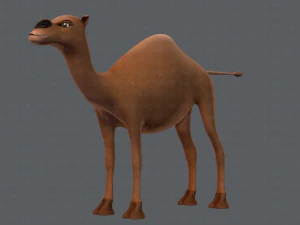 camel v01 3D Model